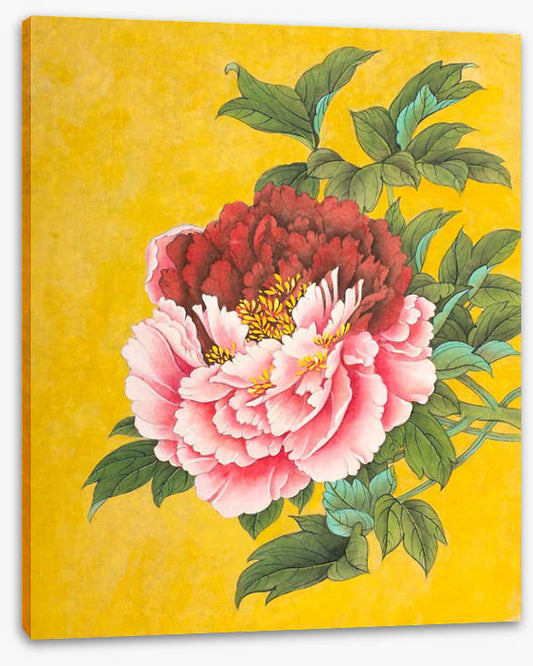 Peony on yellow