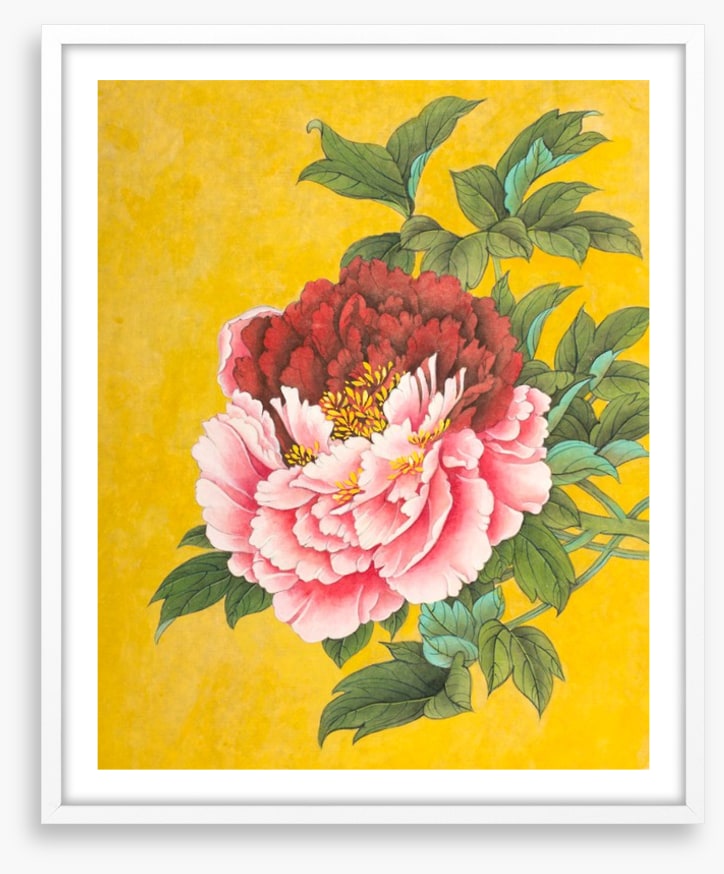 Peony on yellow