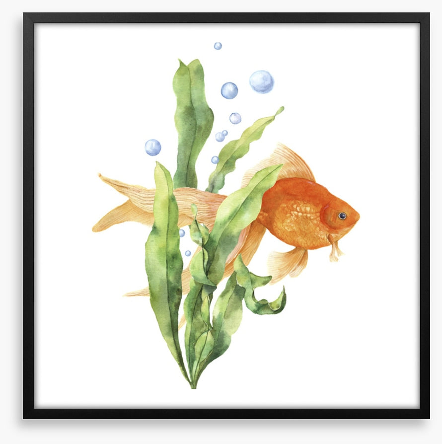 Seaweed solace