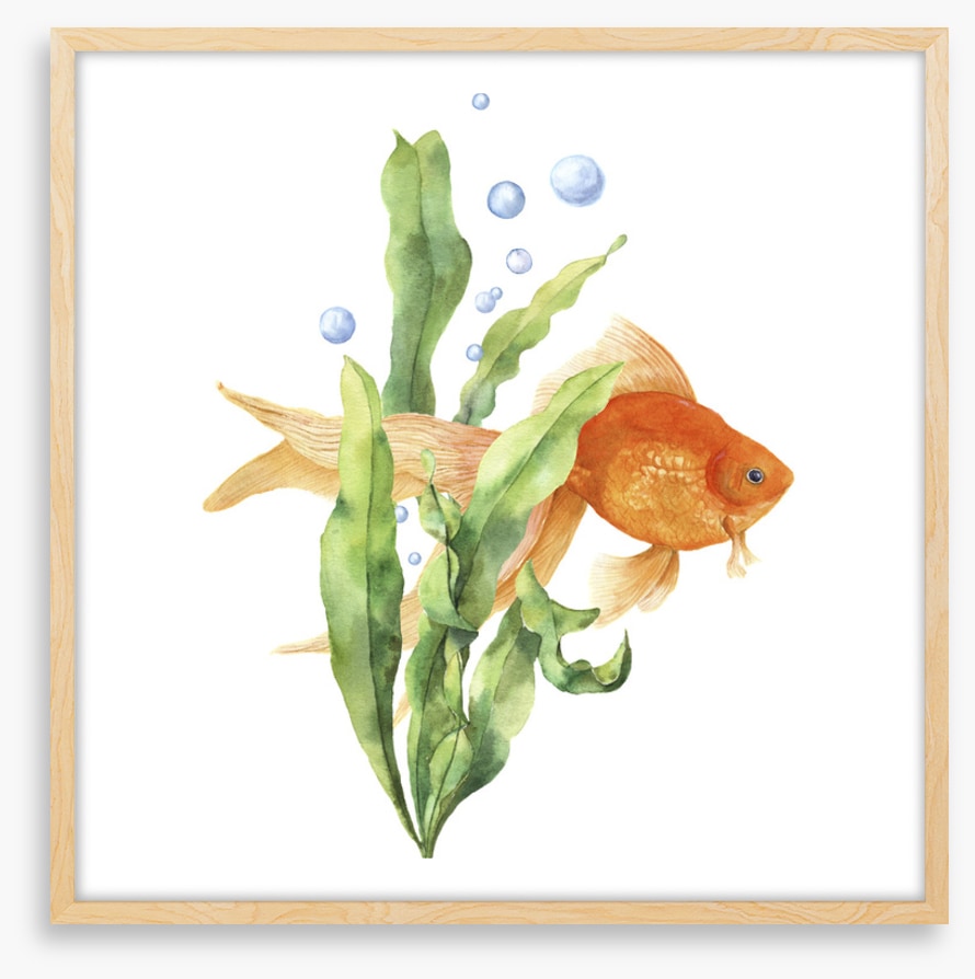 Seaweed solace