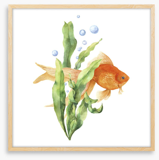 Seaweed solace