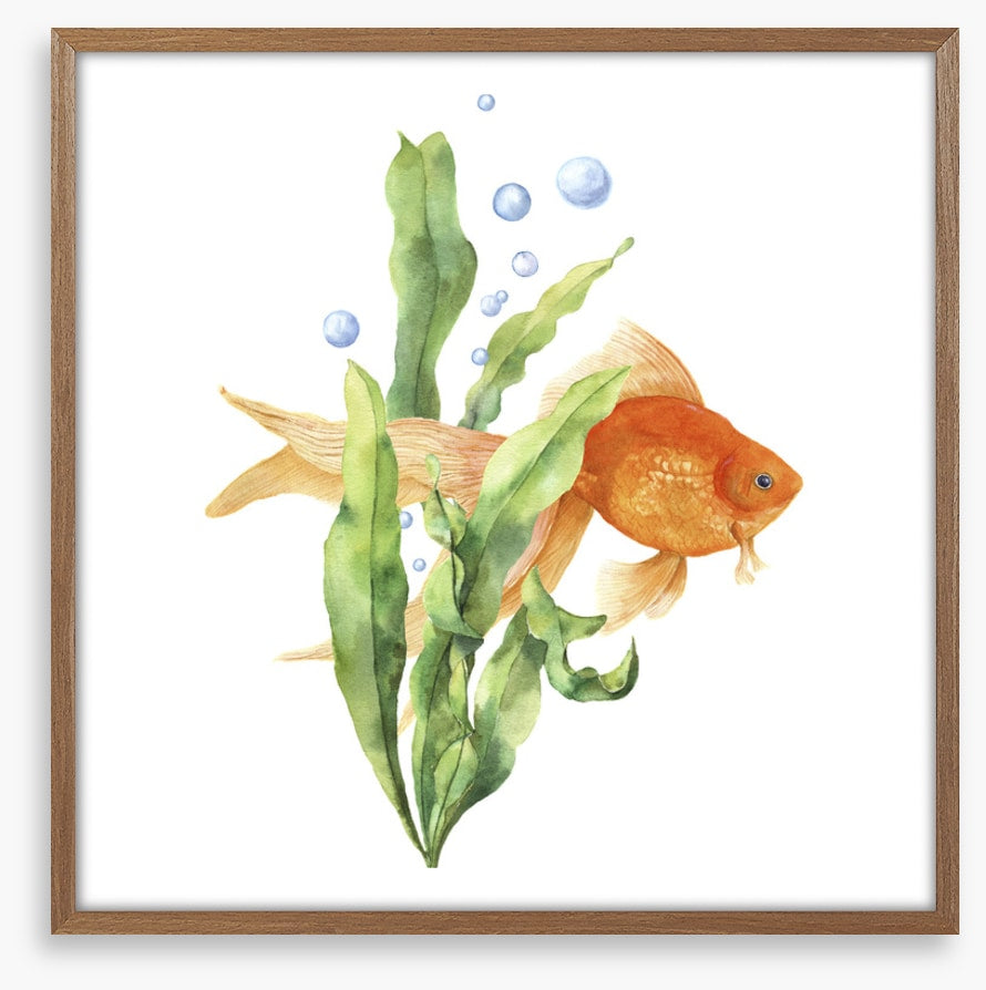Seaweed solace