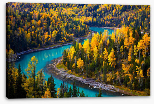 Winding through fall