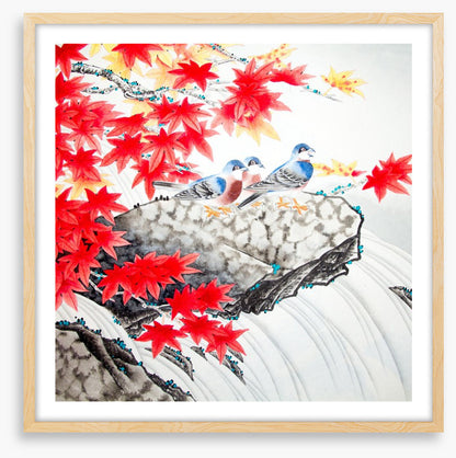 Red maple birds