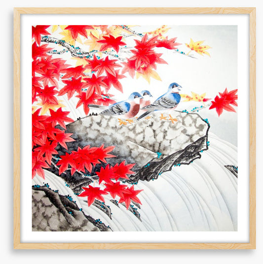 Red maple birds
