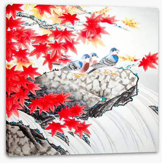 Red maple birds