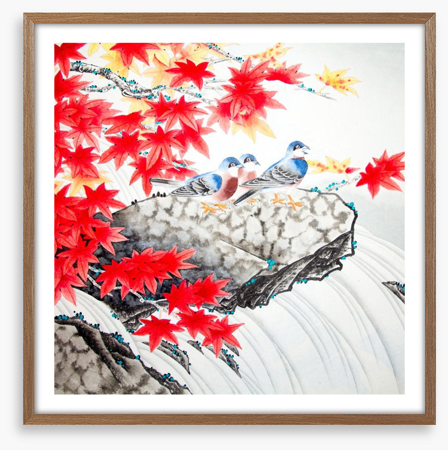 Red maple birds