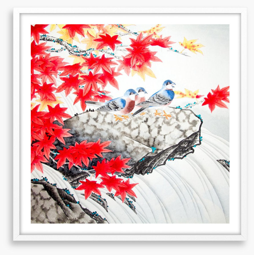 Red maple birds