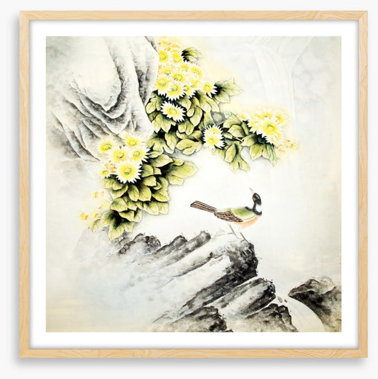 Waterfall blossom bird