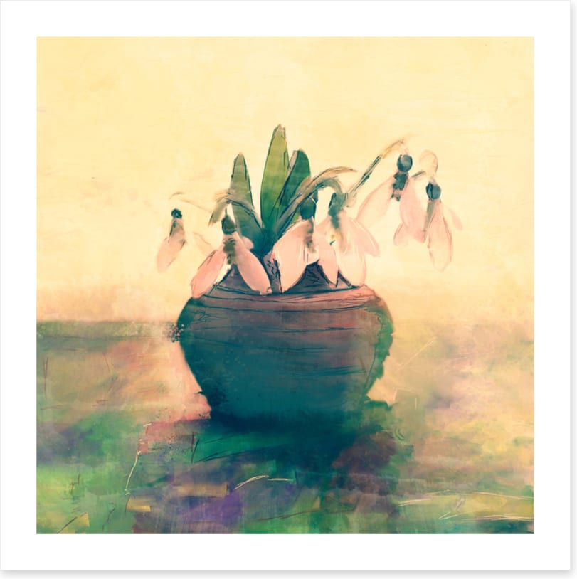 Still Life