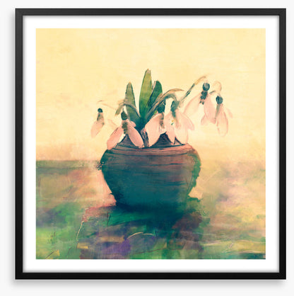 Still Life