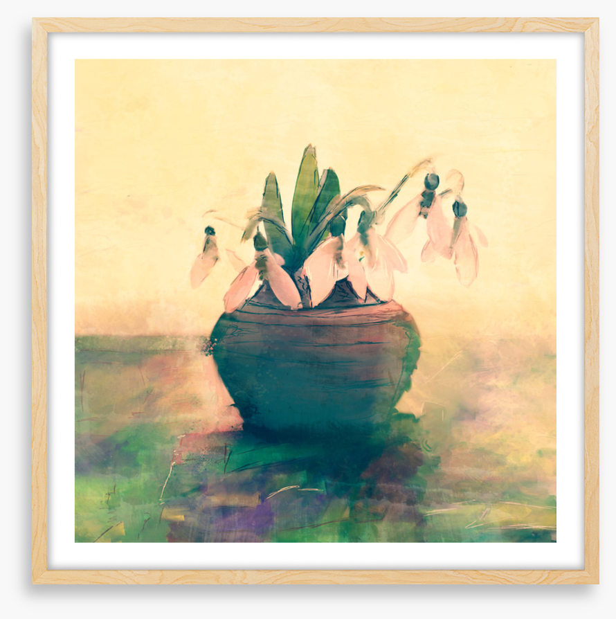 Still Life