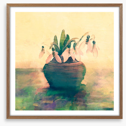 Still Life