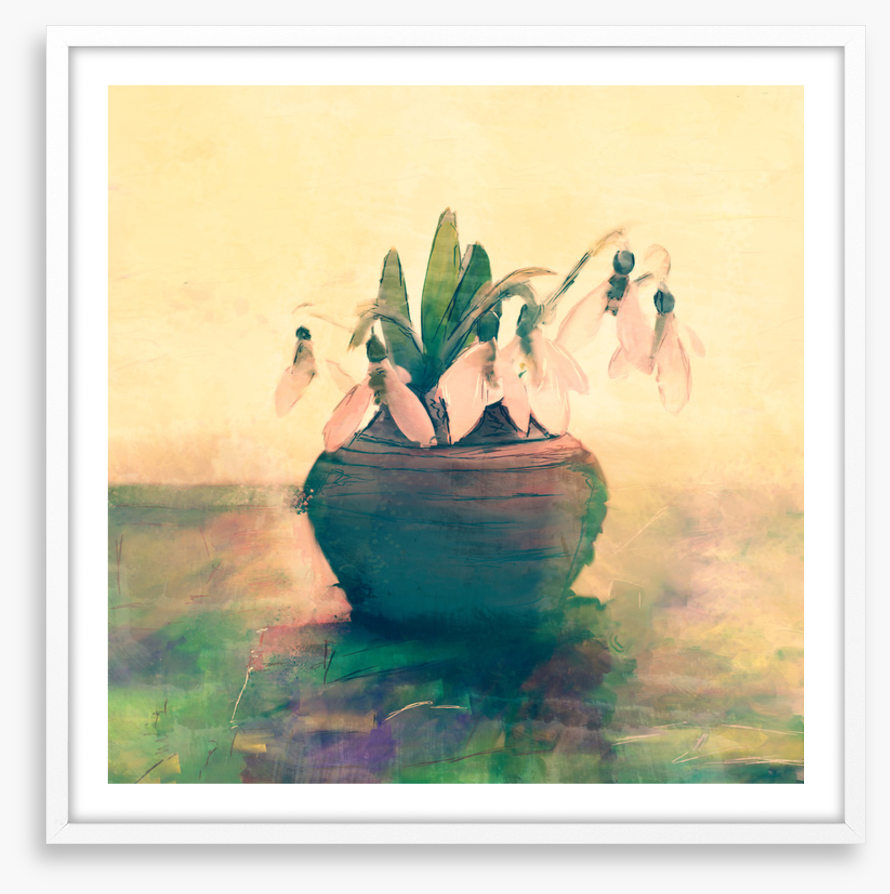 Still Life