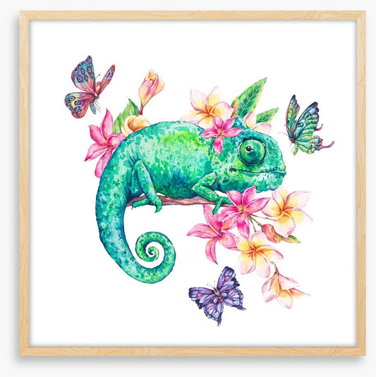 Frangipani chameleon