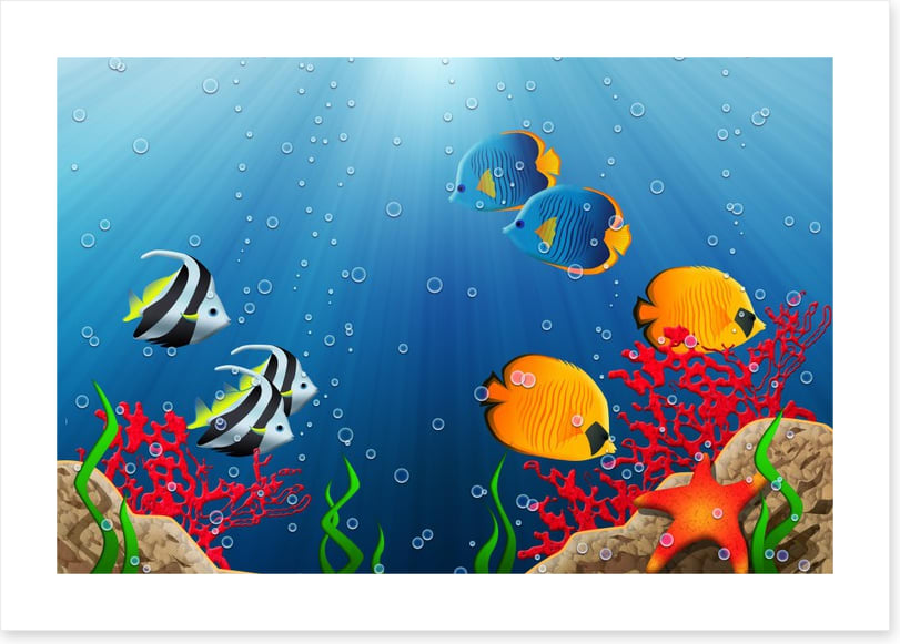 Under the tropical sea
