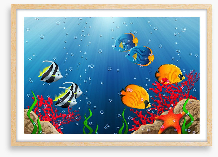 Under the tropical sea