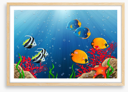 Under the tropical sea