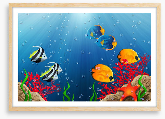 Under the tropical sea