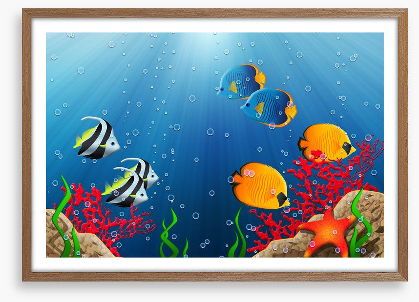 Under the tropical sea