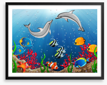 The dance of the dolphins