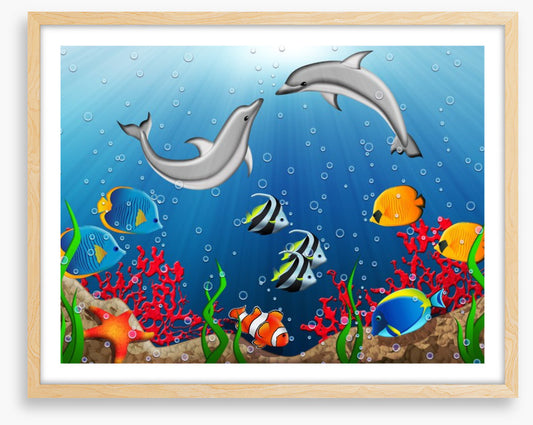 The dance of the dolphins