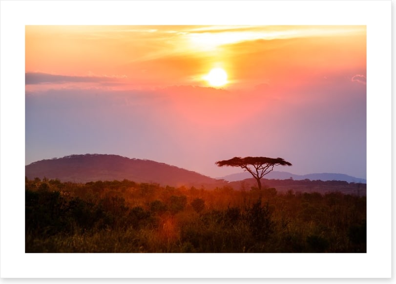 Malawi moment