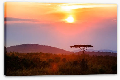 Malawi moment