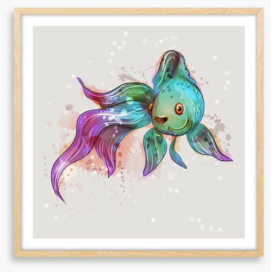 Feeling fishy