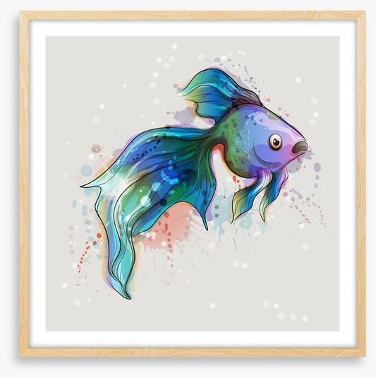 Seems fishy