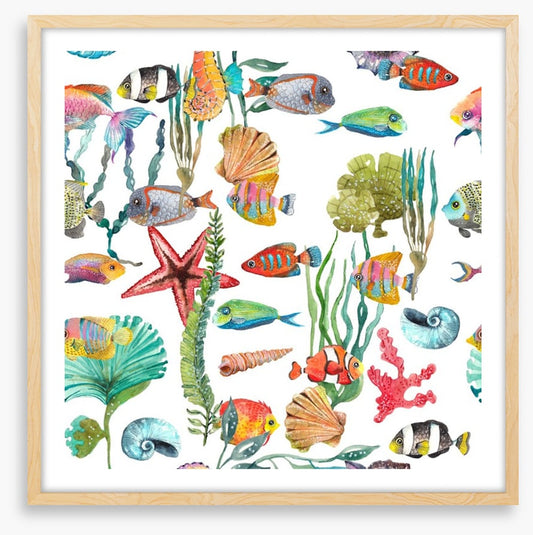 Marine life