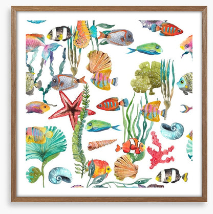 Marine life