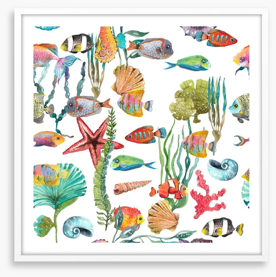 Marine life