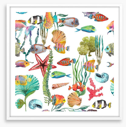 Marine life