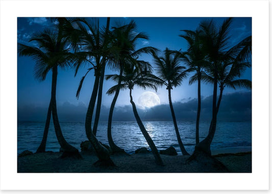 Full moon palms