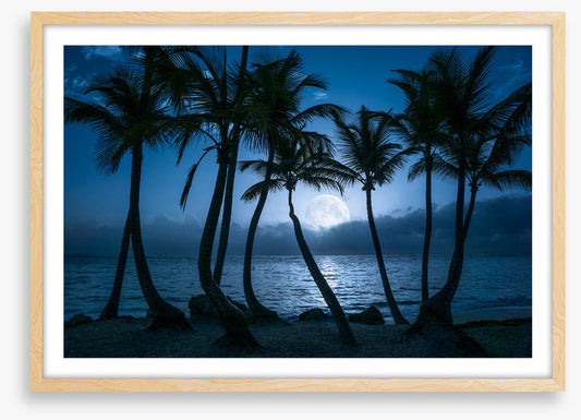Full moon palms