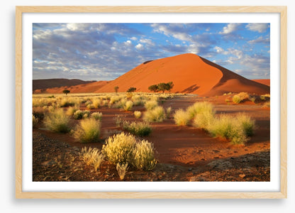 Desert