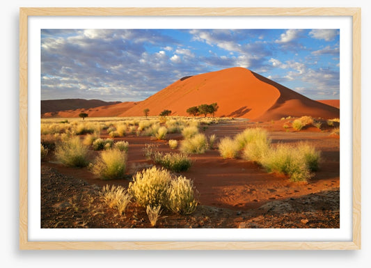 Desert