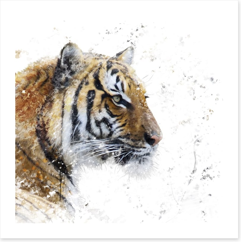 Eye of the tiger