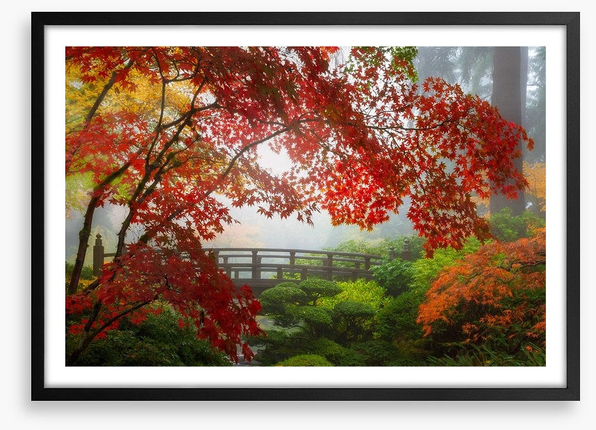 Fall at the Moon Bridge