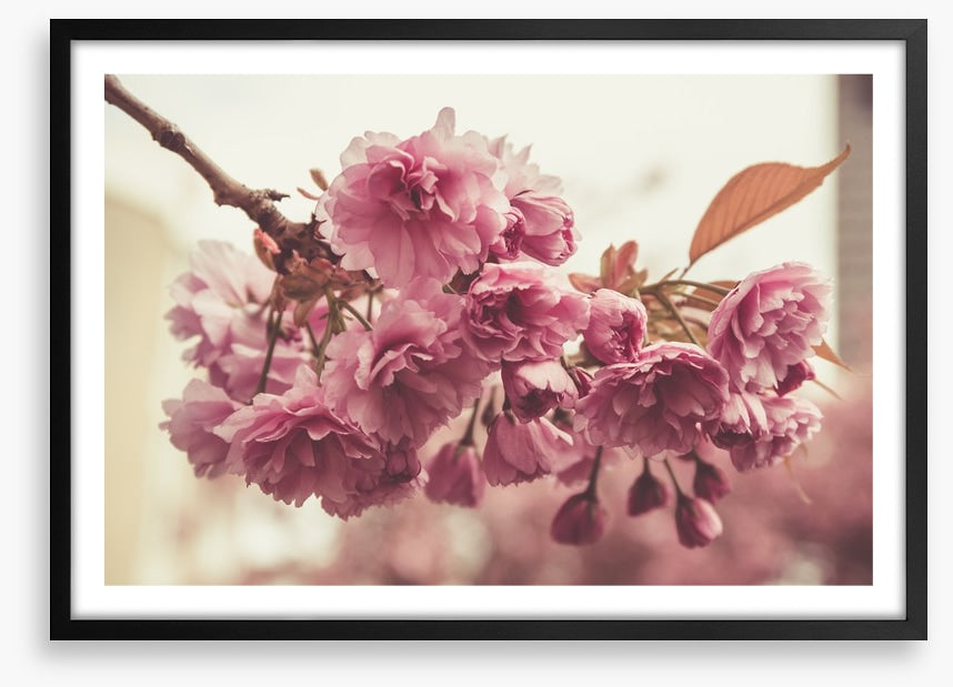 Vintage bloom