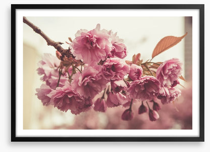 Vintage bloom