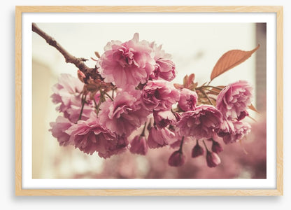 Vintage bloom