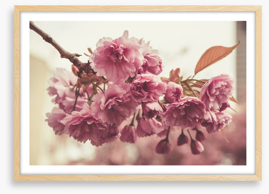 Vintage bloom