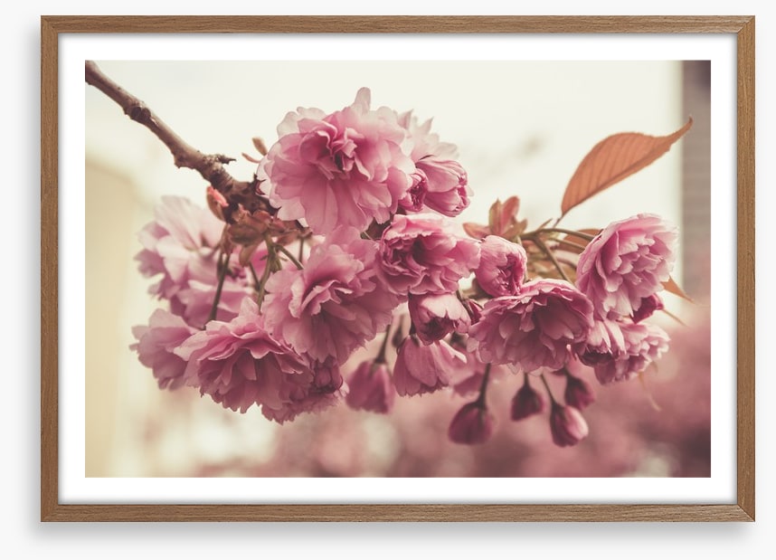 Vintage bloom