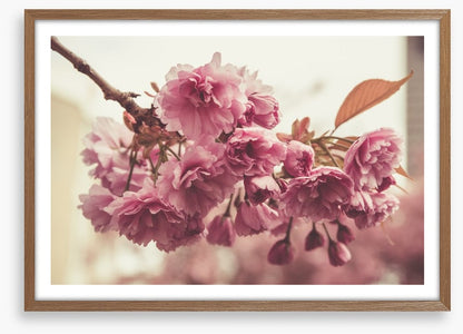 Vintage bloom