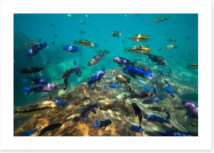 Underwater