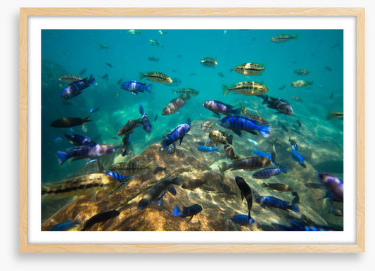 Underwater
