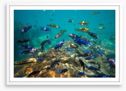 Underwater