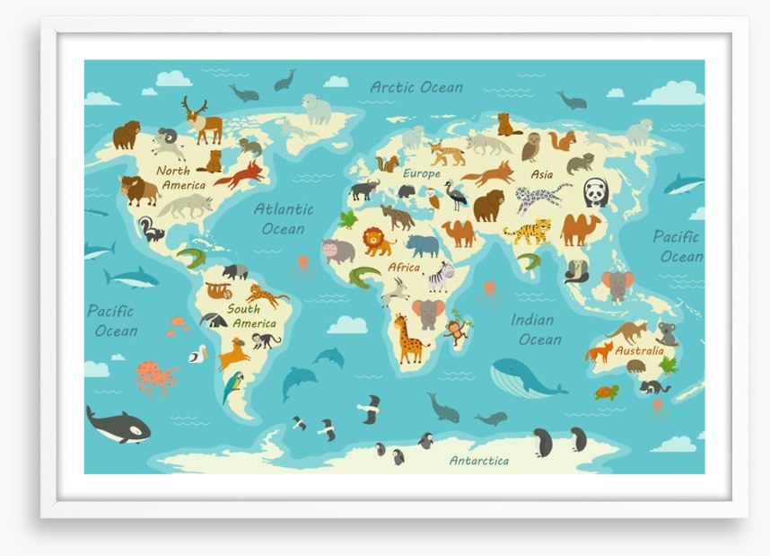 Animals of the world